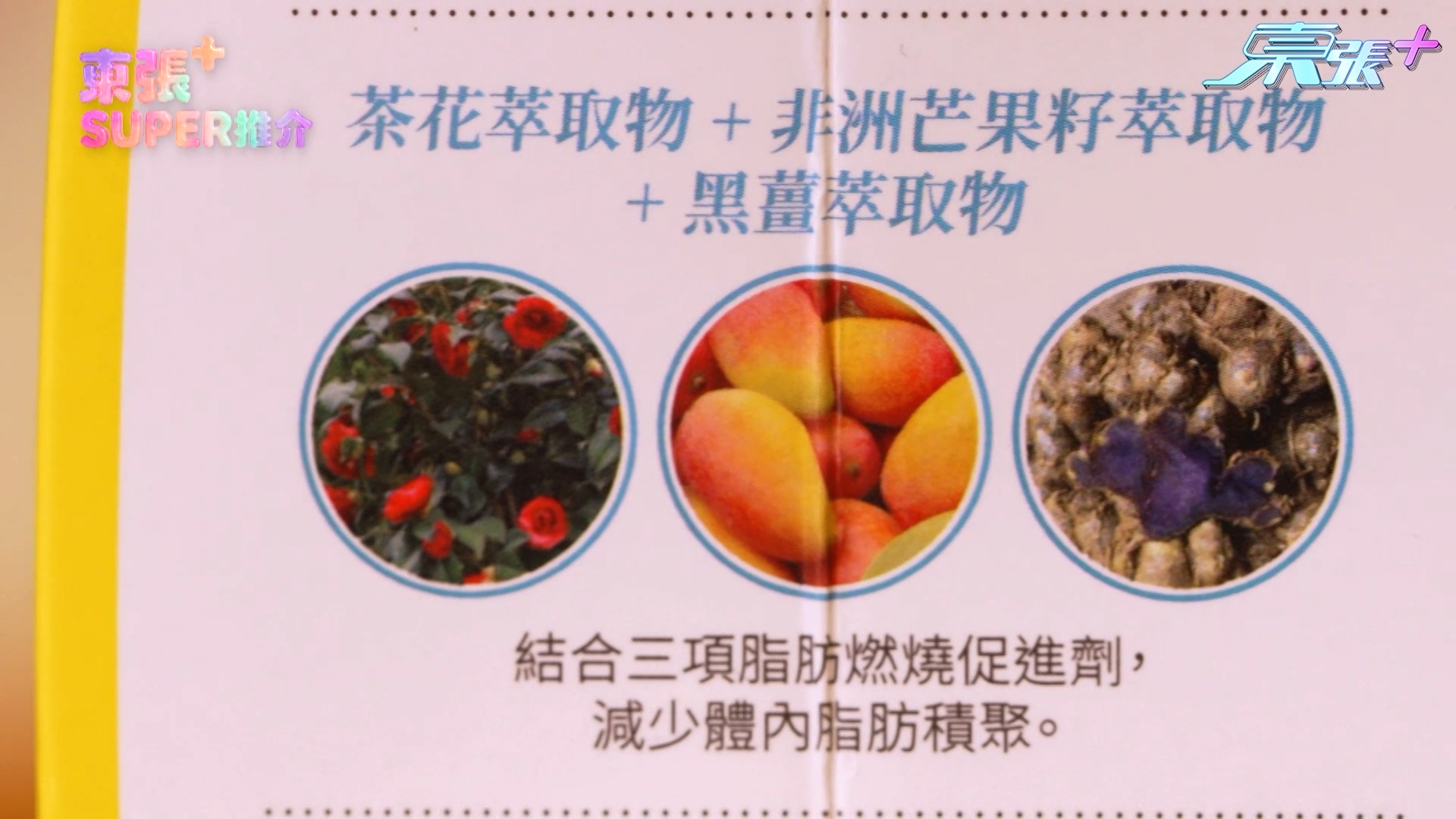 至於「白腎豆+五層龍」的組合，就可以抑制食慾，同時阻隔碳水化合物消化、吸收，雙效減少卡路里攝入 。