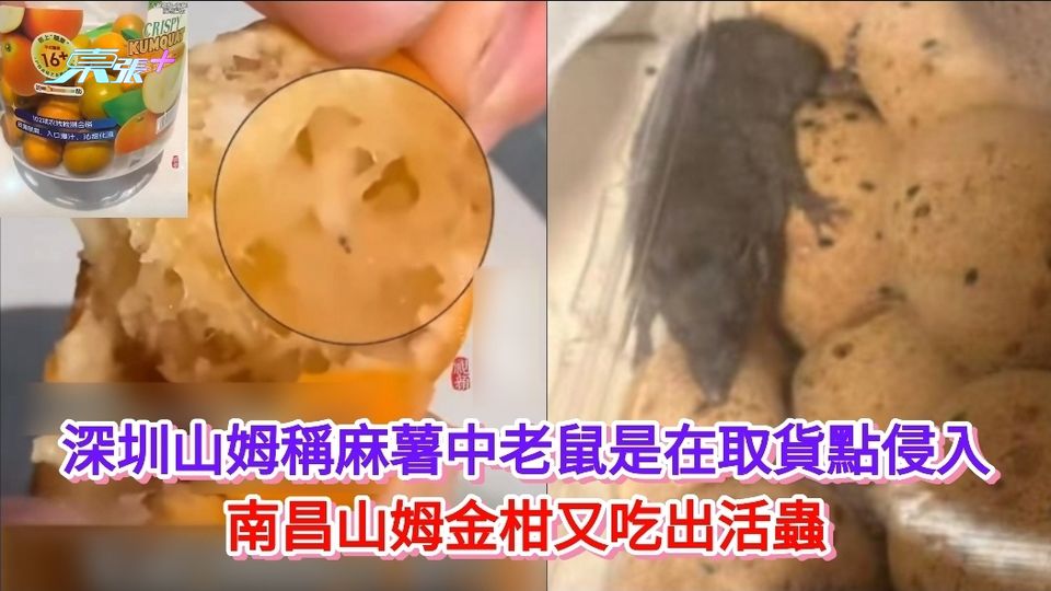 深圳山姆稱麻薯中老鼠是在取貨點侵入 南昌山姆金柑又吃出活蟲