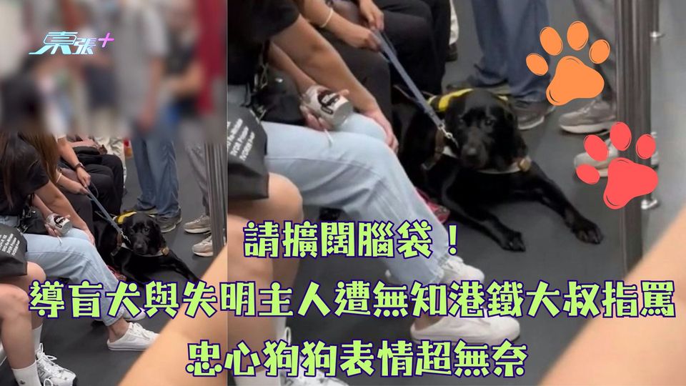 請擴闊腦袋！導盲犬與失明主人遭無知港鐵大叔指罵 忠心狗狗表情超無奈