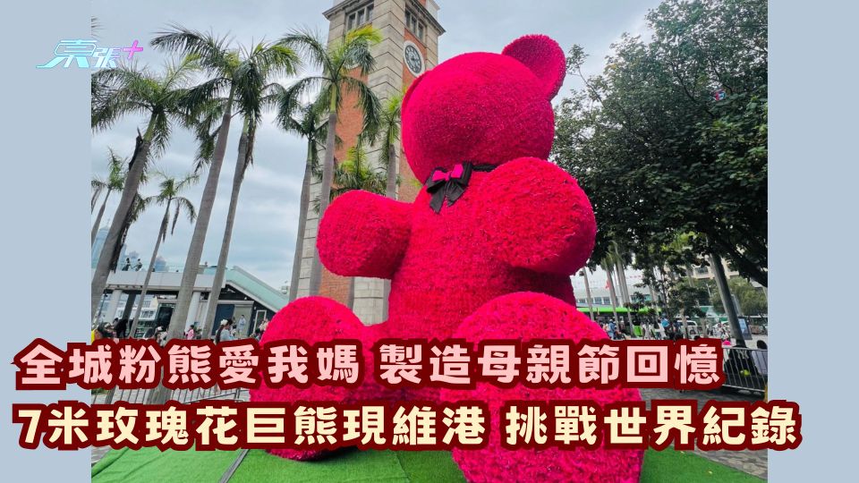 全城粉熊愛我媽 製造母親節回憶 7米玫瑰花巨熊現維港 挑戰世界紀錄