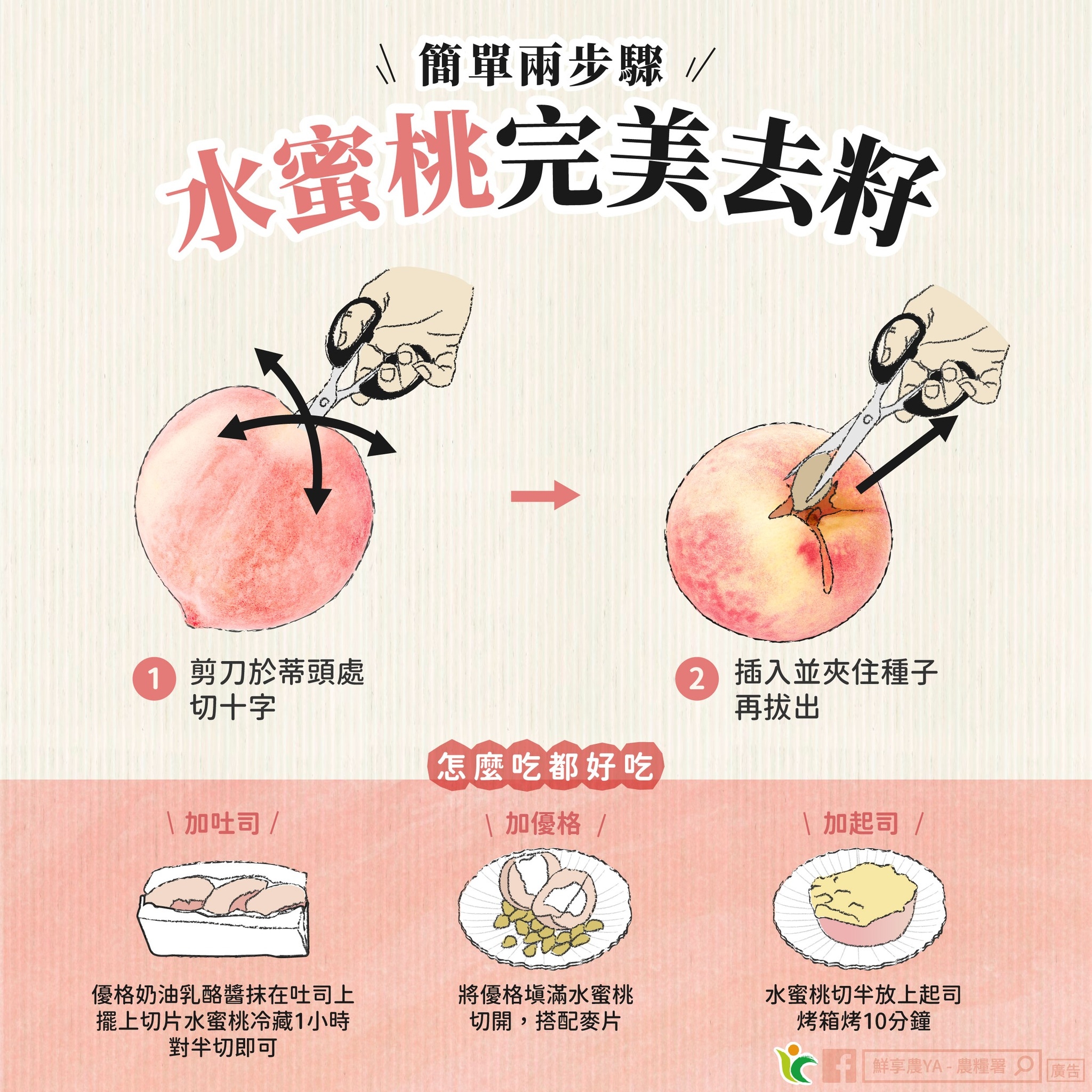 May be an image of text that says '簡單兩步驟/ 水蜜桃完美去籽 剪刀於蒂頭處 切十字 2 插入並夾住種子 再拔出 加吐司/ 怎麽吃都好吃 加優格 加起司 優格奶油乳酪醬抹在吐司上 握上切片水蜜桃冷藏1小時 對半切即可 將優格獎滿水蜜桃 切開 搭配麥片 水蜜桃切牛放上起司 烤箱烤10分鐘 昨芋農-農植袖別周 広容 鮮享農YA- 農禮出'