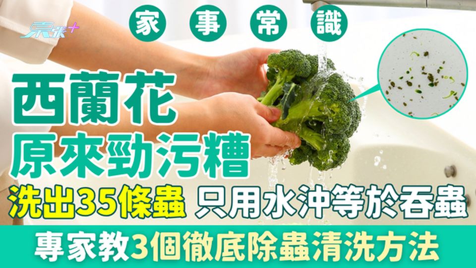 家事常識｜西蘭花原來勁污糟！洗出35條蟲 只用水沖等於吞蟲 專家教3個徹底除蟲清洗方法