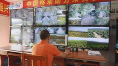 廣西有鄉村運用數碼科技管理農業生產 大幅節省人手及時間