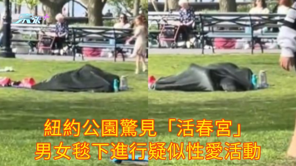 有片 | 紐約公園驚見「活春宮」 男女毯下進行疑似性愛活動