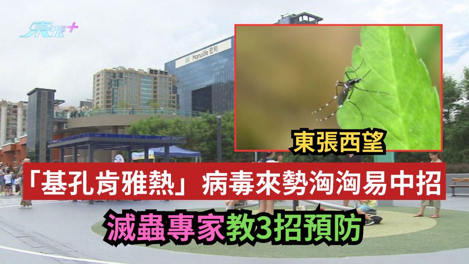 東張西望｜「基孔肯雅熱」病毒來勢洶洶易中招　滅蟲專家教3招預防