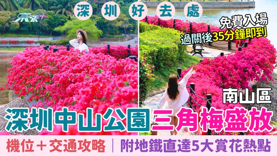 深圳好去處｜南山區深圳中山公園三角梅盛放！免費＋3大機位＋交通攻略，附地鐵直達5大賞花熱點