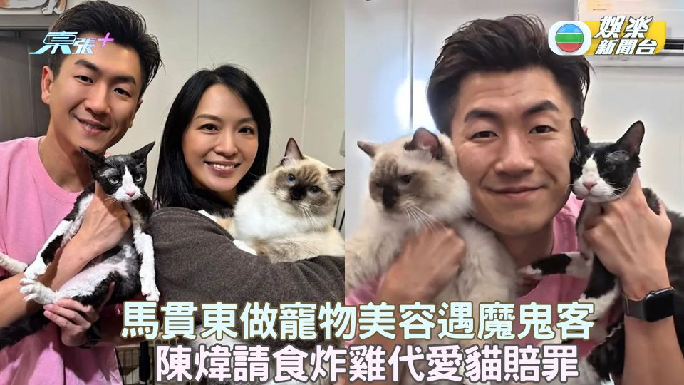 馬貫東做寵物美容遇魔鬼客 陳煒請食炸雞代愛貓賠罪