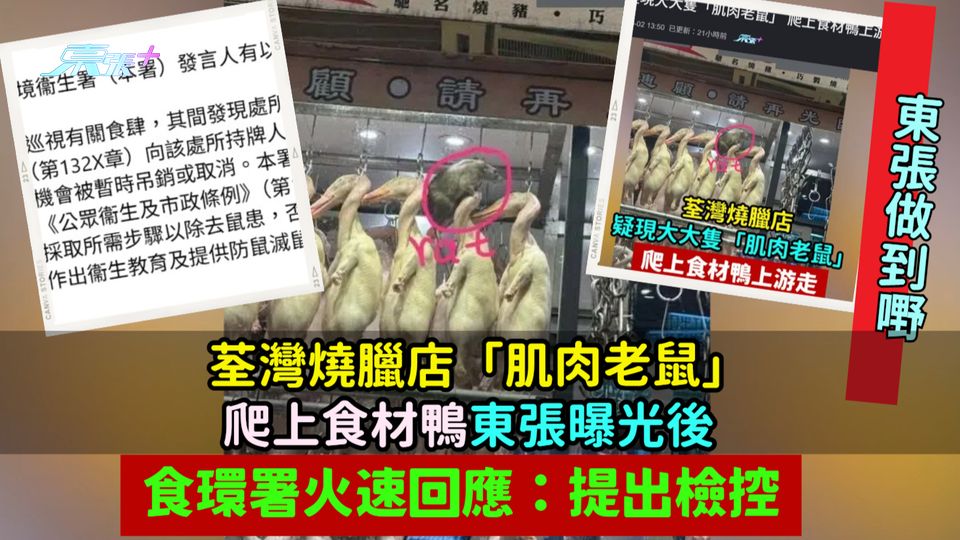 東張做到嘢 | 荃灣燒臘店「肌肉老鼠」爬上食材鴨東張曝光後  食環署火速回應：提出檢控   