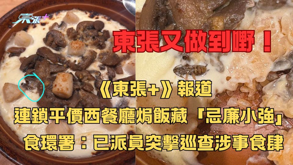 《東張+》報道連鎖平價西餐廳焗飯藏「忌廉小強」 食環署：已派員突擊巡查涉事食肆