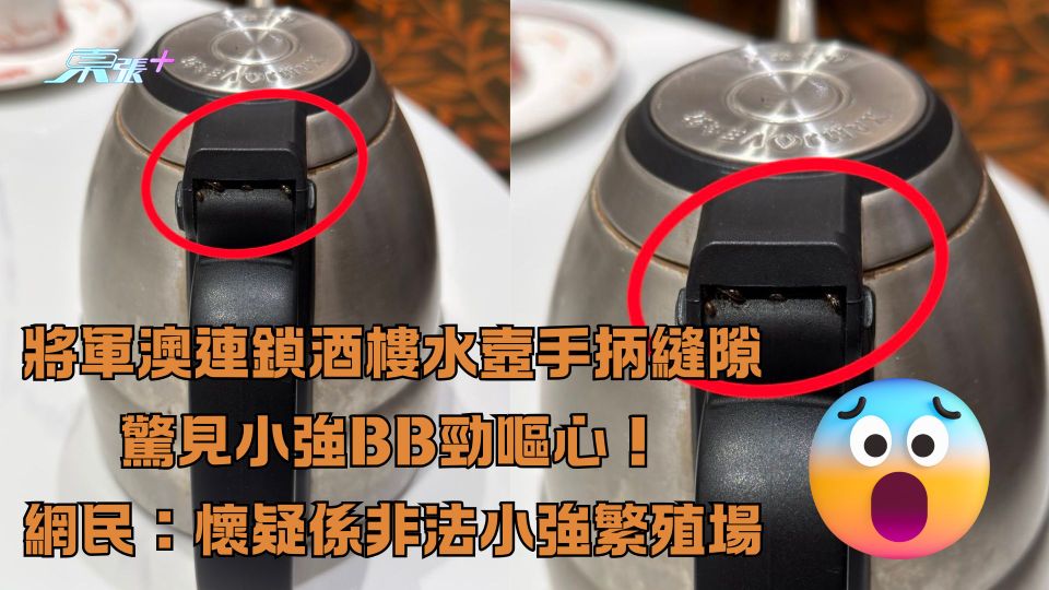 ［食安問題注意］將軍澳連鎖酒樓水壼手抦驚見小強BB 網民：懷疑係非法小強繁殖場
