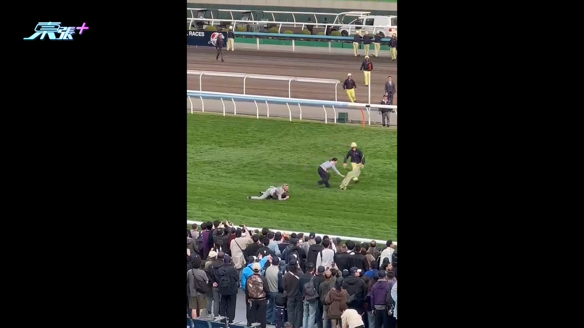 沙田馬場有人衝入跑道，保安及時制止無人受傷。