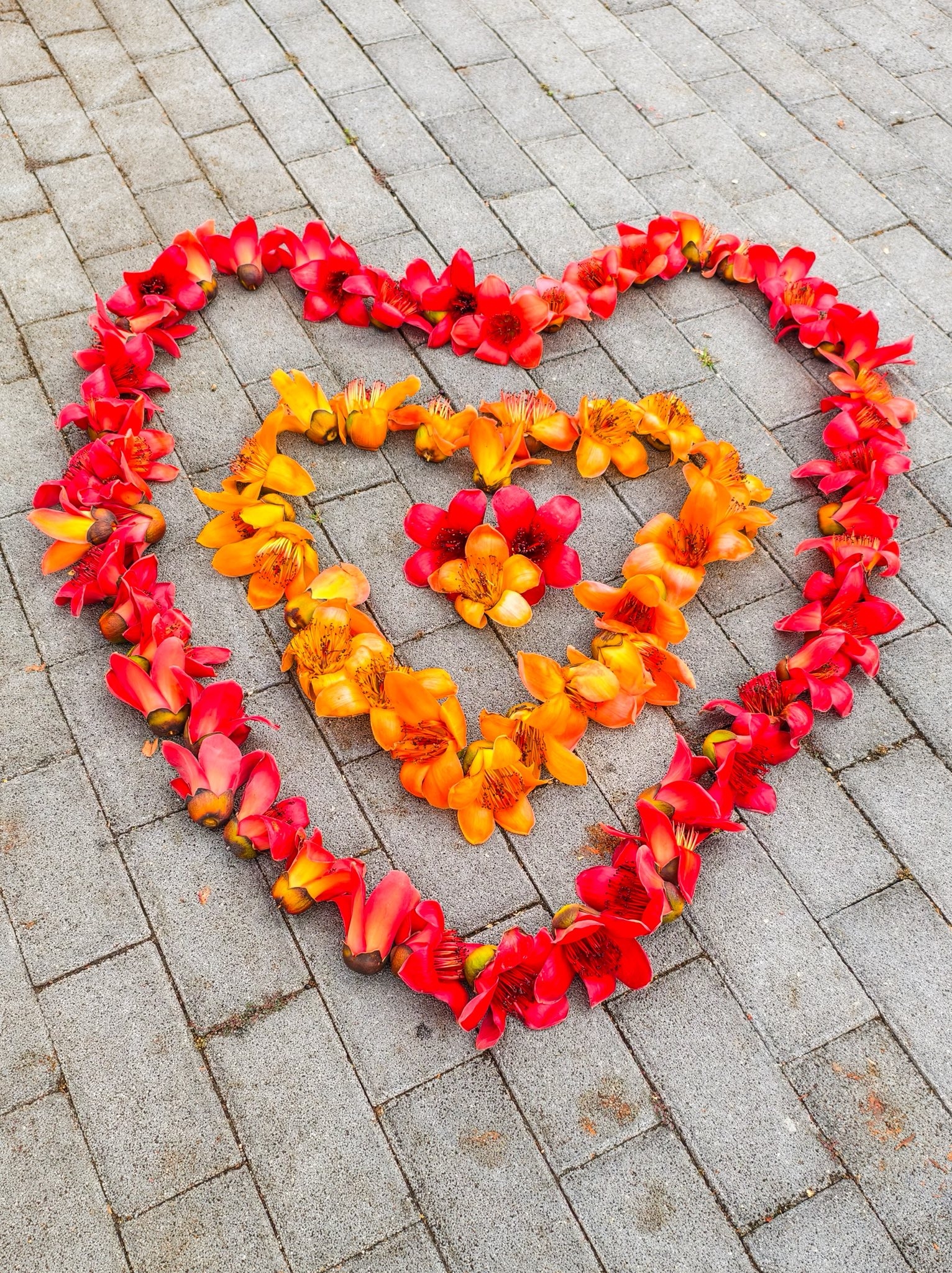 可能是紅心和花的圖像