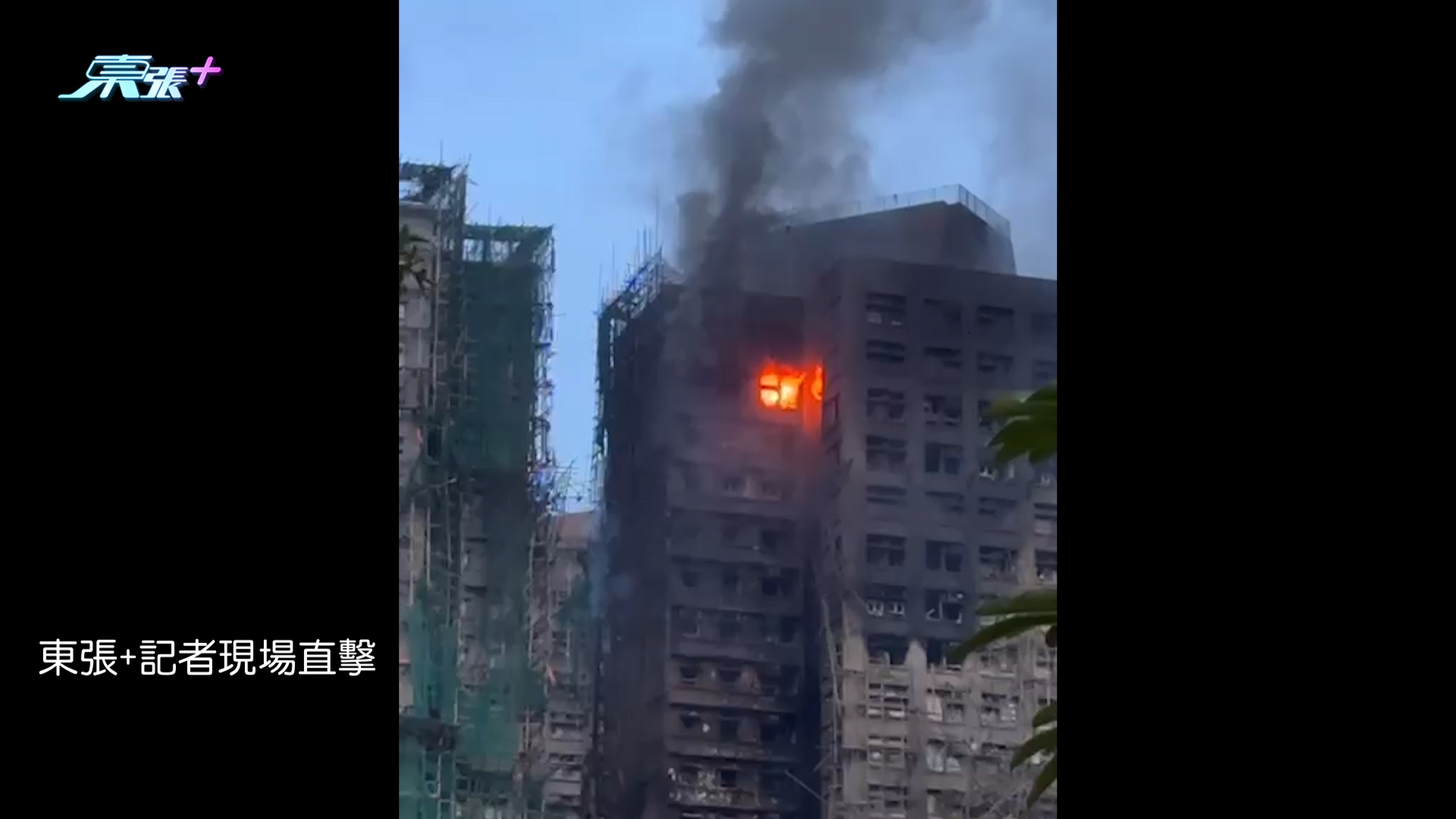 大埔宏福苑五級火｜東張+現場直擊消防煙帽隊再出動入火場　穿「黃金戰衣」繼續救援