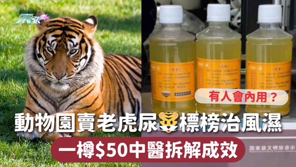 動物園賣老虎尿🐯標榜治風濕 一樽$50中醫拆解成效