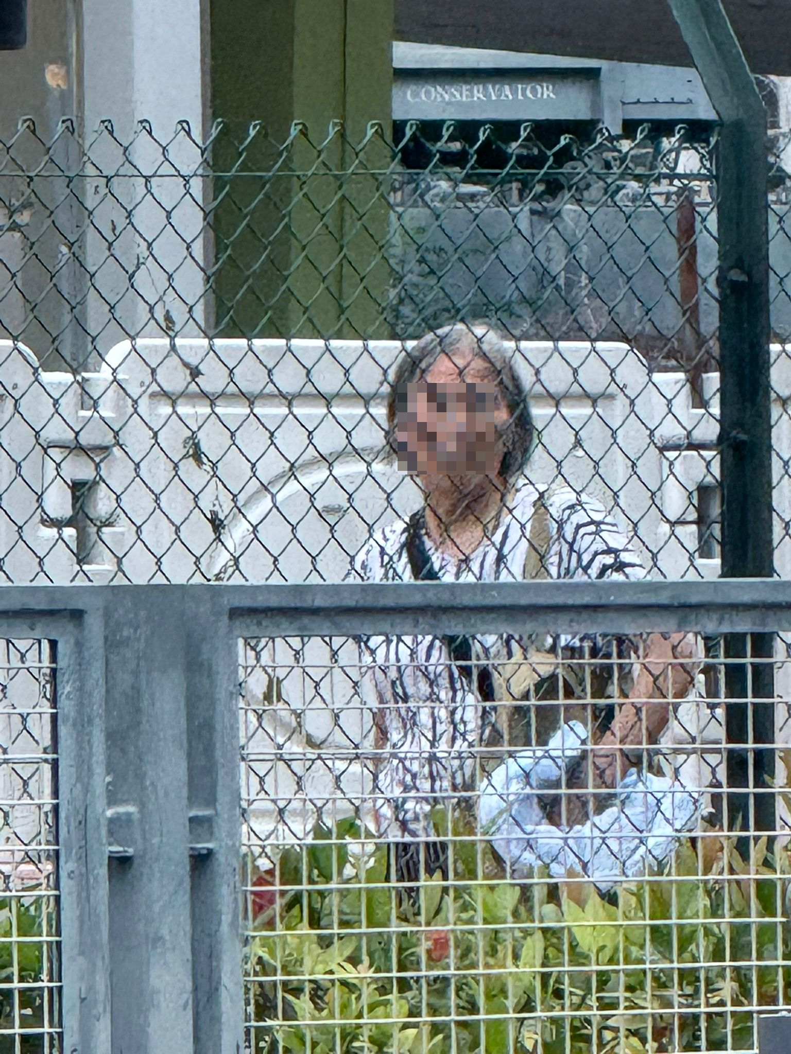 東張西望報料｜宋皇臺公園婆婆大玩「仙女散花」，麵包碎撒地下影響衛生。(讀者報料)