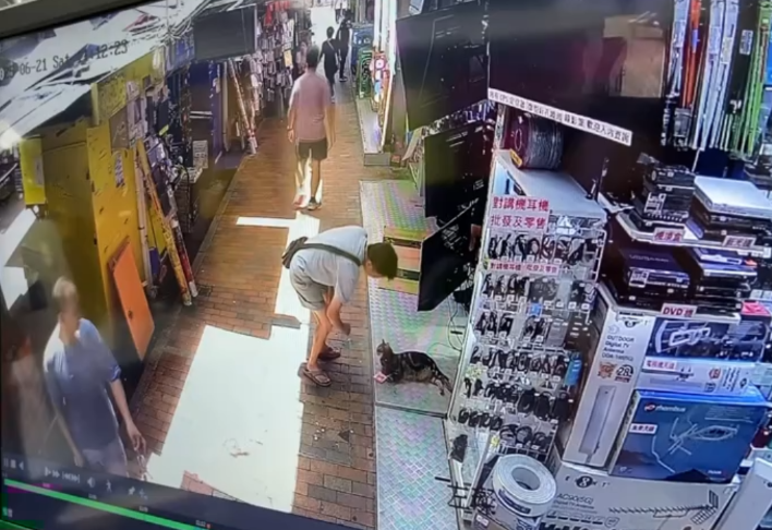 有片｜大叔鴨寮街入店齋唱散$500被拒　其後竟折返原店只為送貓店長兩條「紅衫魚」