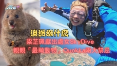 澳洲潮什麼丨梁芷珮獻出處女Sky Dive 親親「最萌動物」Quokka兩大禁忌