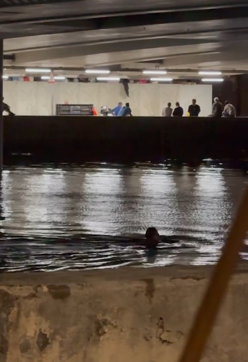 男子城門河深夜暢游惹熱議「菌多過馬桶」　目擊者：以為見到條大魚