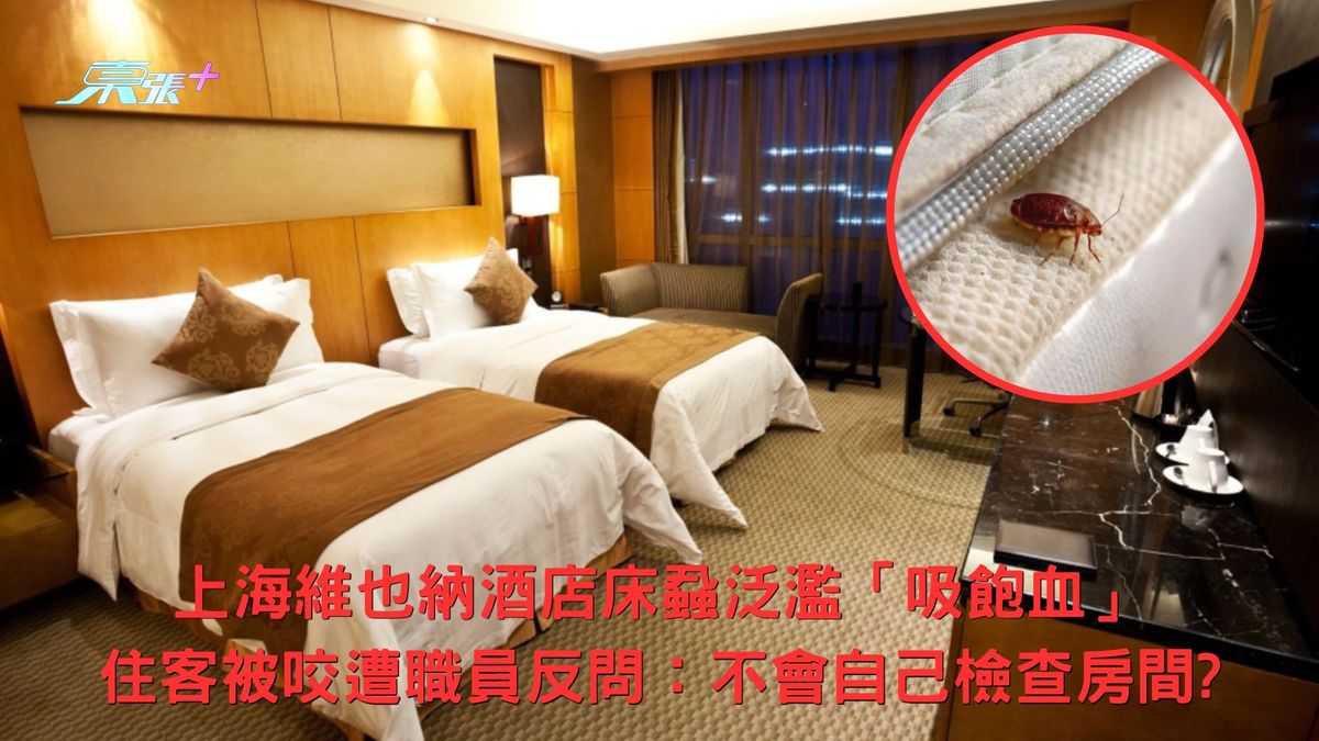 上海維也納酒店床蝨泛濫「吸飽血」 住客被咬遭職員反問：不會自己檢查房間?