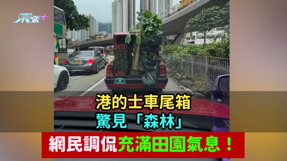 港的士車尾箱驚見「森林」  網民：充滿田園氣息！