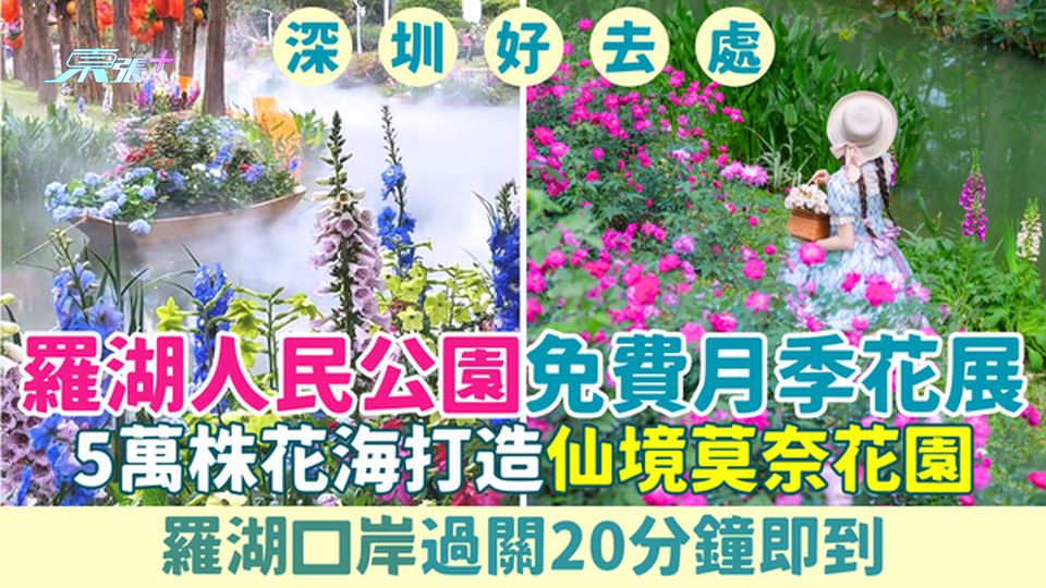 深圳好去處｜羅湖人民公園免費月季花展 過關20分鐘即到 5萬株花海打造仙境莫奈花園