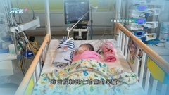 港府首允內地器官運到香港移植 四個月大女嬰芷希成功換心後留醫
