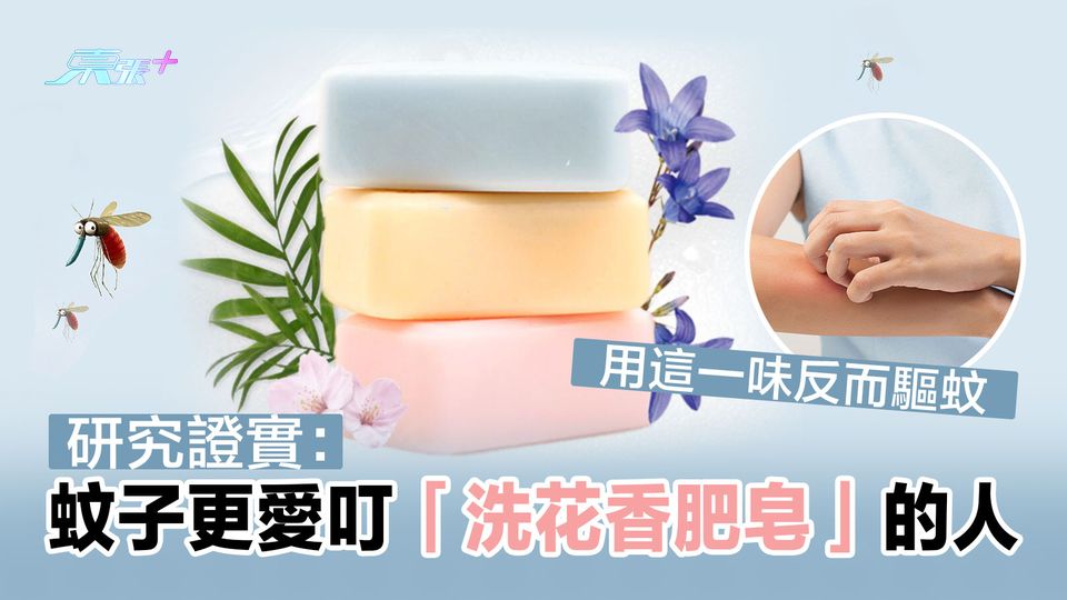 研究證實：蚊子更愛叮「洗花香肥皂」的人？ 用這味反而驅蚊