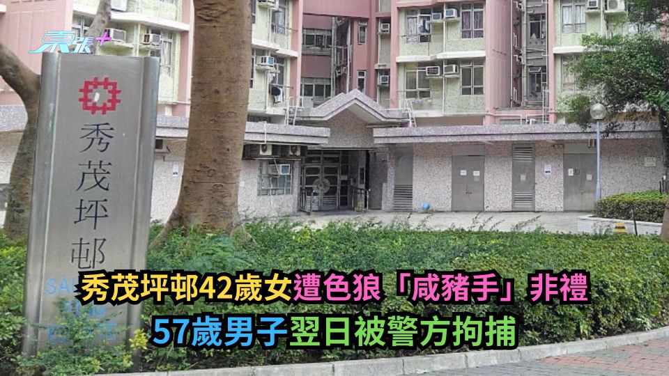秀茂坪邨42歲女遭色狼「咸豬手」非禮　57歲男子翌日被警方拘捕-東張+