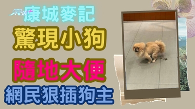做過有公德心的人！康城麥記驚現小狗隨地大便 網民狠插狗主