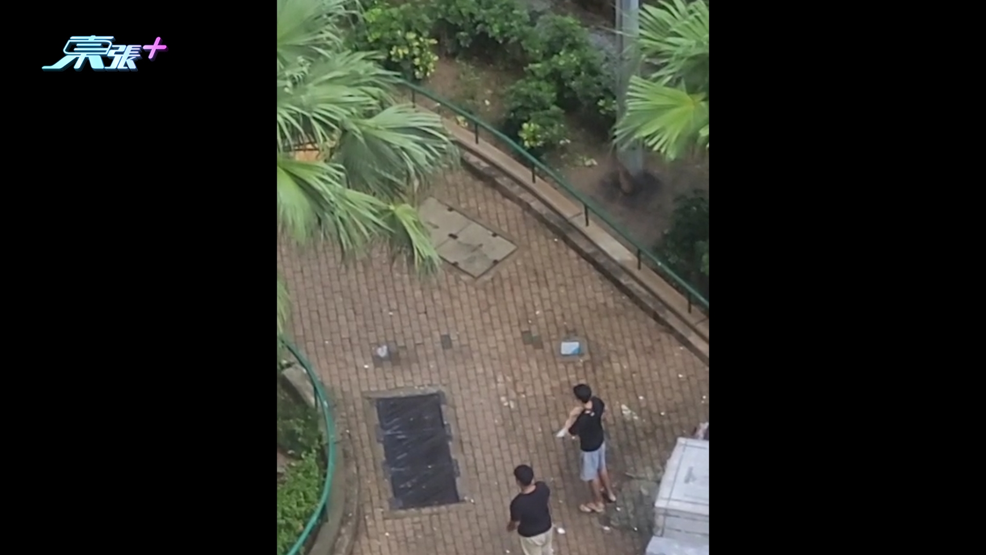 東張西望報料｜祥蔭樓兩男擅取維修物料「飛碟」放題　廚磚滿天飛一地碎片惹不滿