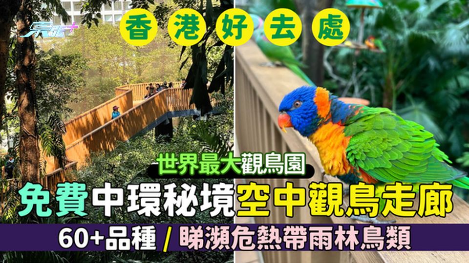 香港好去處｜免費開放中環秘境空中觀鳥走廊🦜世界最大觀鳥園🏆/60+品種/睇瀕危熱帶雨林鳥類🦆