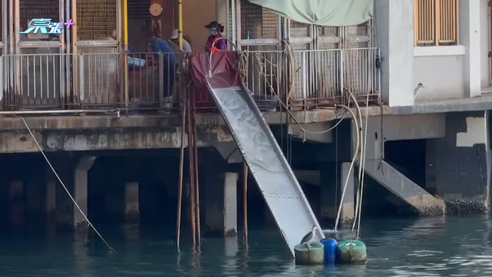 北角碼頭大人細路公然放生，仲開「瀡滑梯」及大水喉伺候。 (Threads@tumtumtummy_tommy)