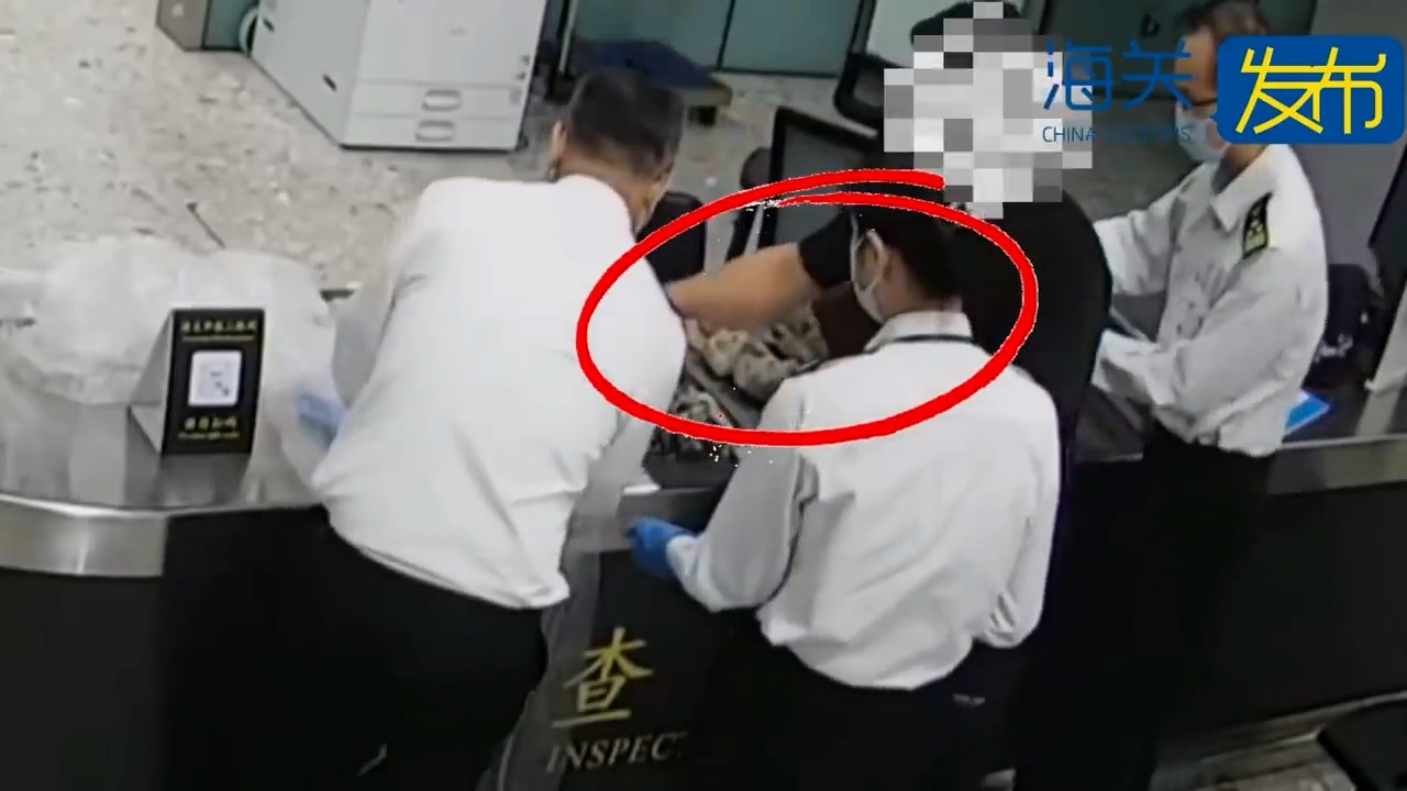 中國海關在西九龍站查獲一名阿富汗男旅客出境時攜帶11件／套古文物。（微博影片截圖／海關發布）