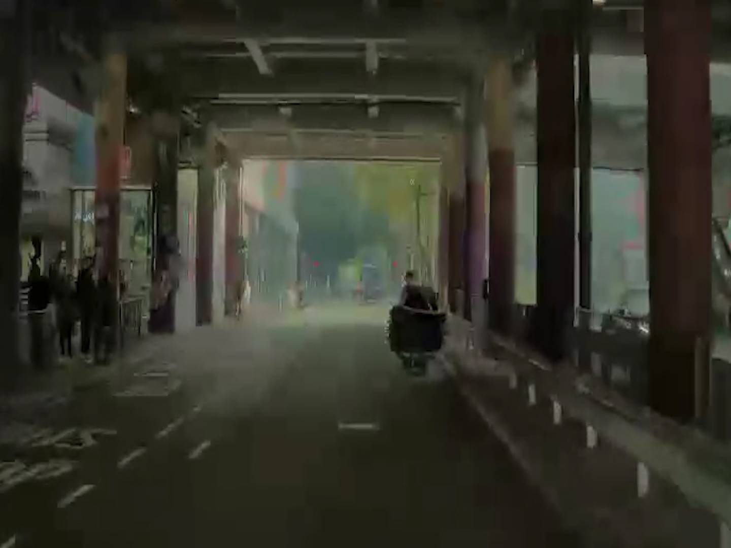 屯門「紙皮手推車」逆線行馬路全拍下