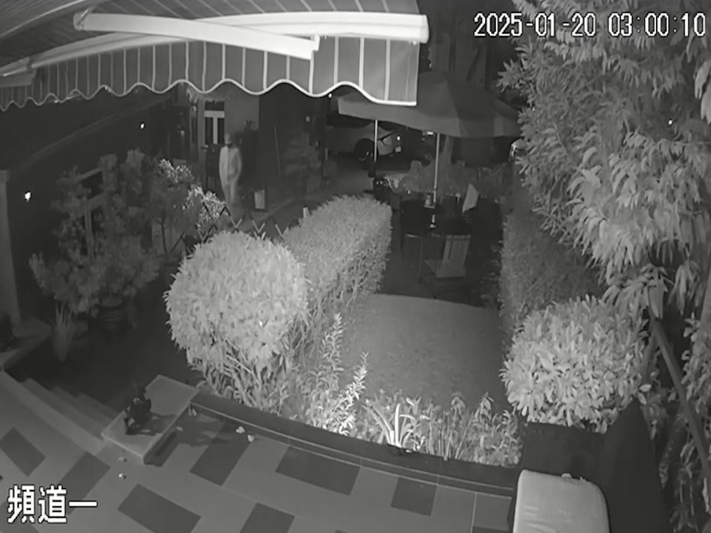 元朗廈村賊人夜潛3小時疑踩線