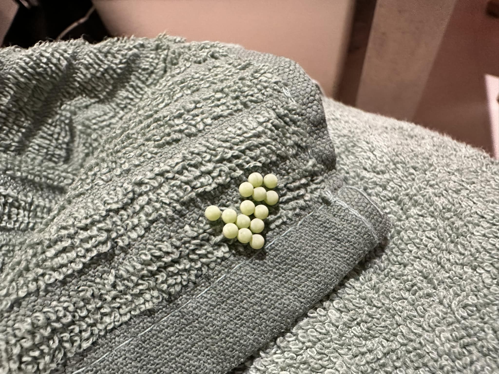 未提供相片說明。