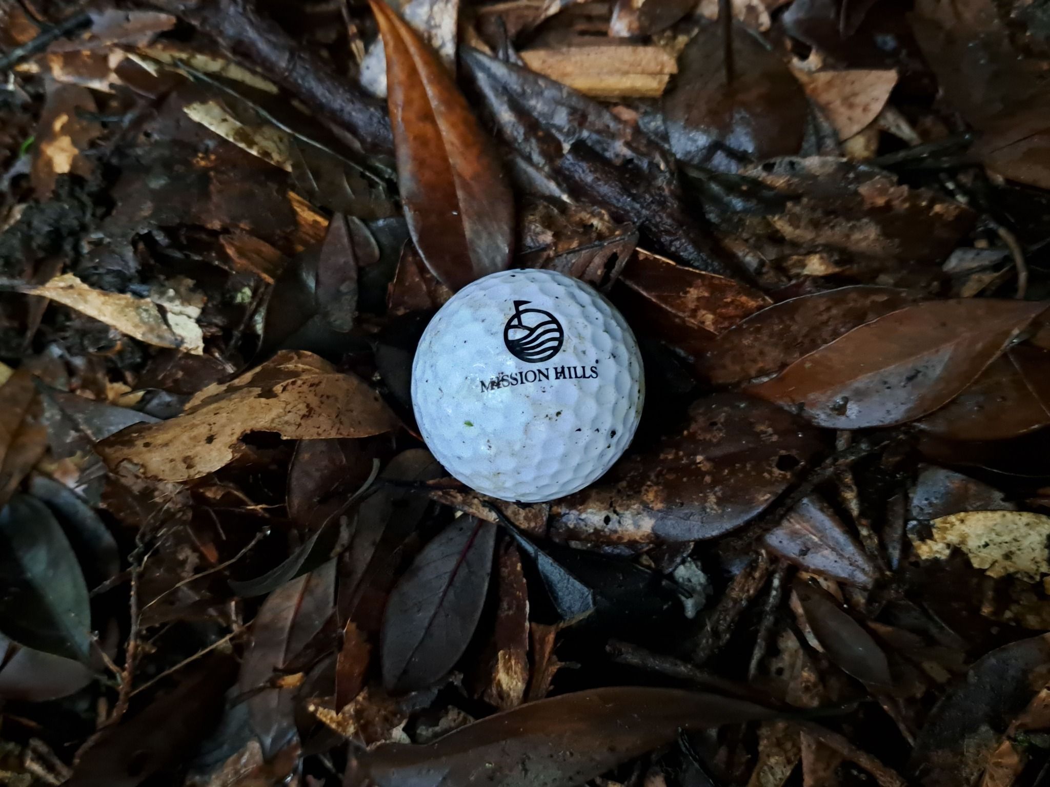 香港山頭變哥爾夫球場　行山人士好心提醒「小心打到人」反被罵