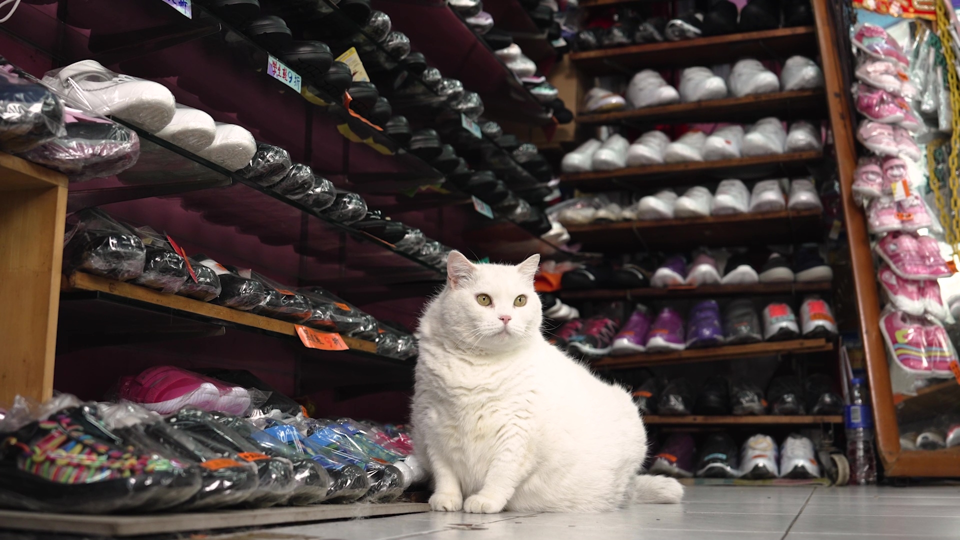 「妹妹」已經 20歲喇～