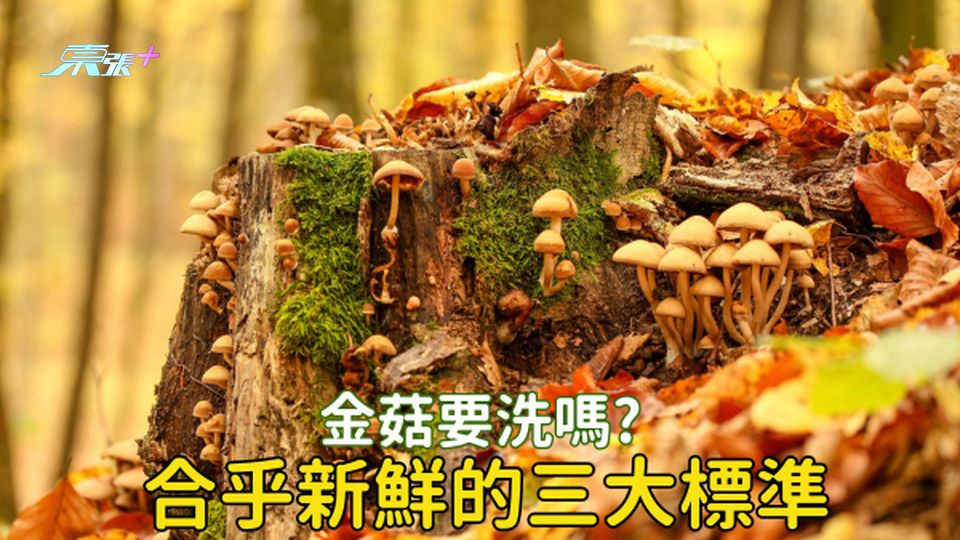 金菇可以唔洗食得？要符合3大標準先算新鮮！ #至識健康