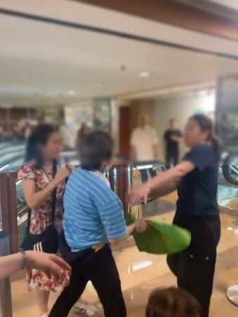 排隊黨MMA｜3女子金鐘運輸署霸位內訌衝突　阿婆膠袋出手狠擊「蛇頭」