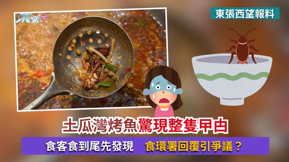 東張西望報料｜土瓜灣烤魚驚現整隻曱甴　食客食到尾先發現　食環署回覆引爭議？