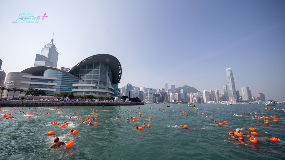 「新世界維港泳2024」11月10日舉行 名額4000個 即日起接受報名