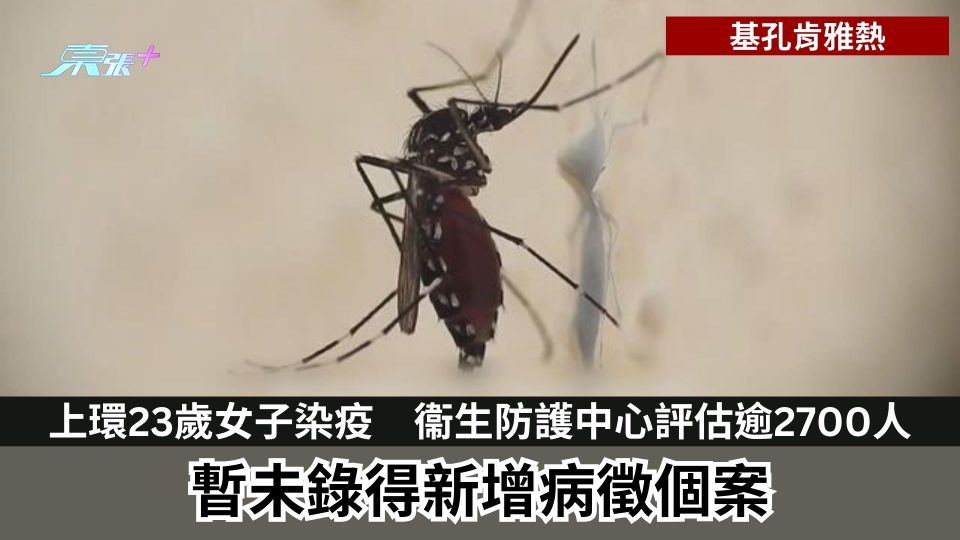基孔肯雅熱｜上環23歲女子染疫　衞生防護中心評估逾2700人　暫未錄得新增病徵個案