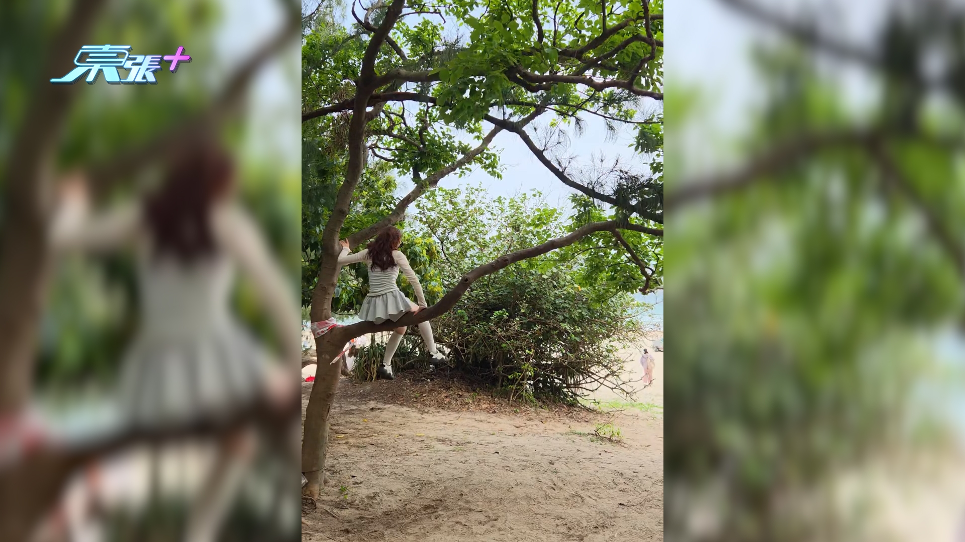 西貢浪茄灣內地客爬樹「抱樹打卡」　樹枝折斷市民勸阻無人理：扮聽唔到 （threads@mj.food.daily/）