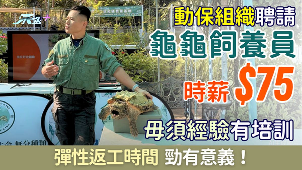兼職筍工｜動保組織聘請龜龜飼養員 時薪$75 勁有意義！毋須經驗有培訓