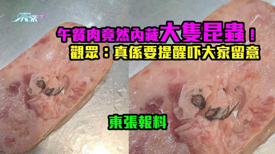 午餐肉竟然內藏大隻昆蟲！觀眾：真係要提醒吓大家留意