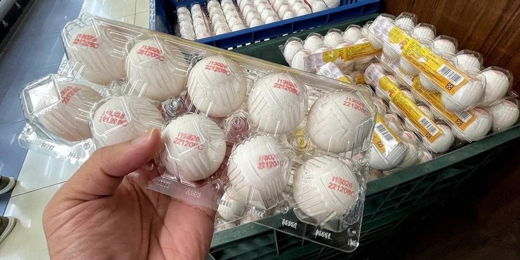 回不去了國內蛋價今漲2元重回歷史高點- 要聞- 工商時報