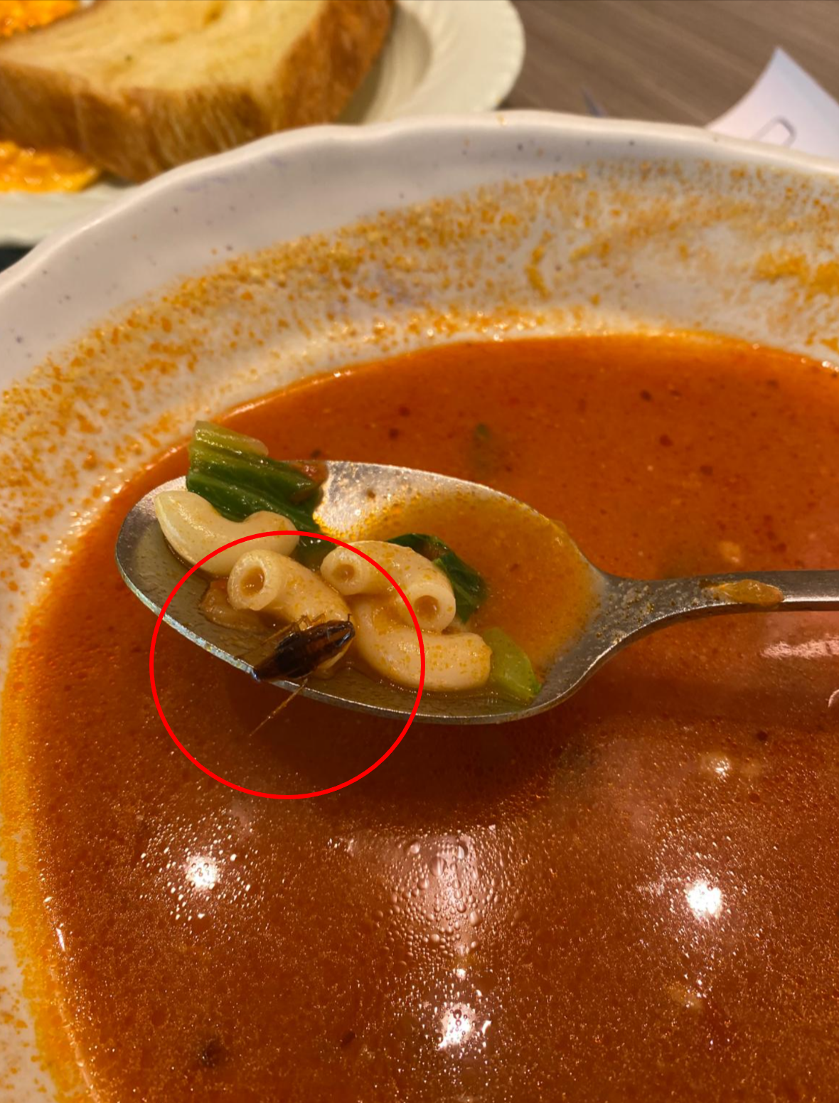 觀眾報料《東張+》照片