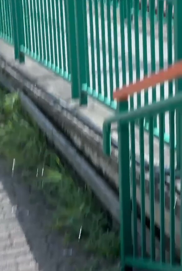 屯門山景邨驚現「落冰雹」奇景　街坊拍片稱好恐怖：八月飛霜