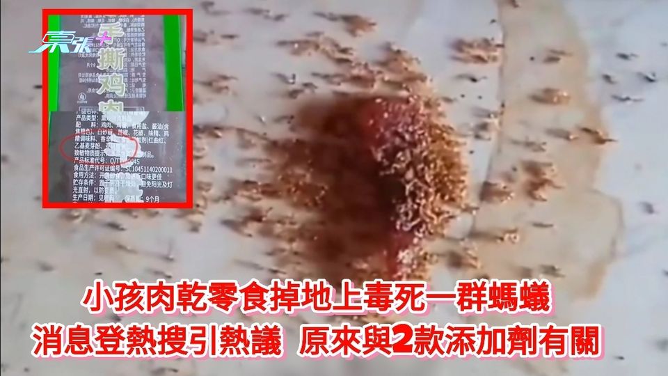 小孩肉乾零食掉地上毒死一群螞蟻 消息登熱搜引熱議 原來與2款添加劑有關